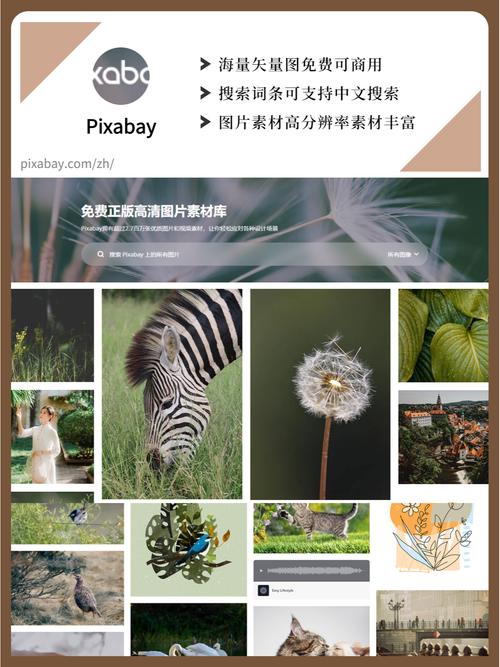 正版免费素材网站,正版免费素材网站有哪些