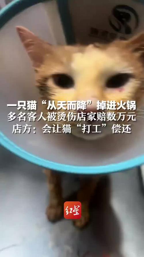 产品中心 第28页